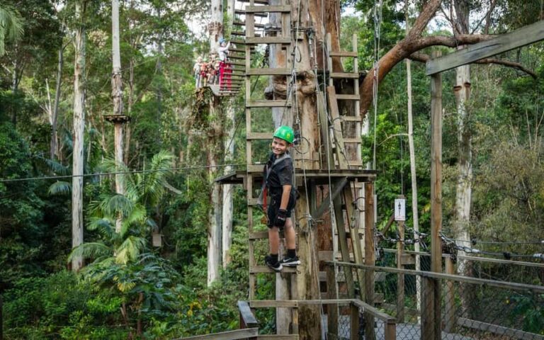 Tamborine Mountain: TreeTop Challenge Adrenaline Pass - Going Beyond the Features: What Does the Tour Mean for You?