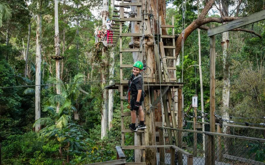 Tamborine Mountain: TreeTop Challenge Adrenaline Pass - Going Beyond the Features: What Does the Tour Mean for You?