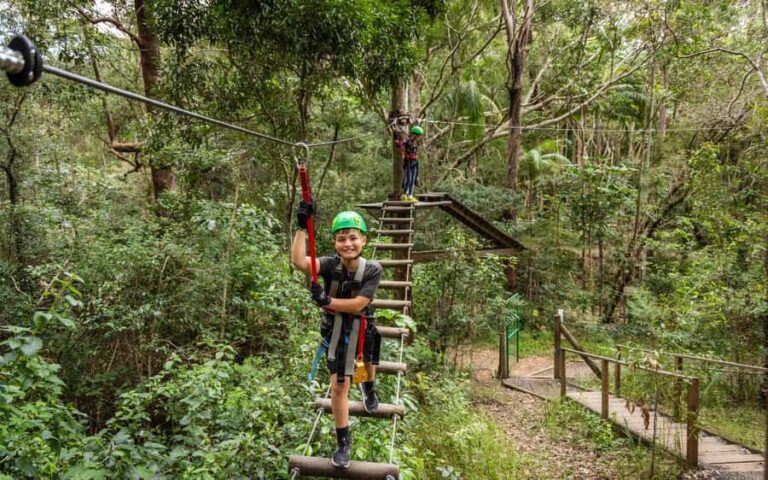Tamborine Mountain: TreeTop Challenge Adventure Park - The Sum Up