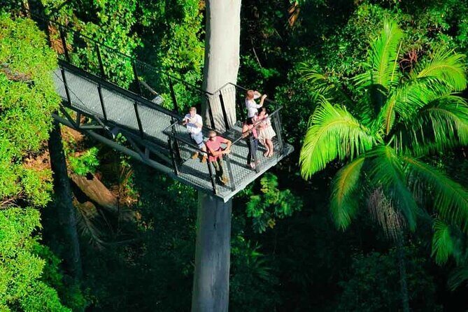 Tamborine Rainforest Skywalk + Hop on Hop off Bus - What’s Included and What’s Not