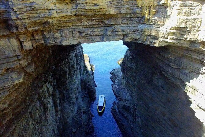 Tasman Island Cruises Day Tour from Hobart - Analyzing Value and Realistic Expectations