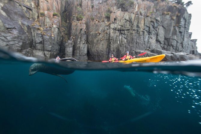 Tasman Peninsula full day kayaking tour - Who Will Love This Tour?
