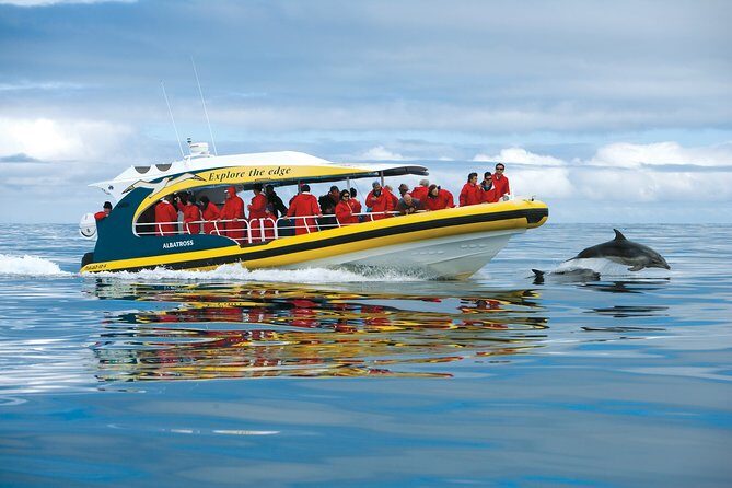 Tasman Peninsula Wilderness Cruise from Port Arthur - The Experience and Crew: Why It Matters