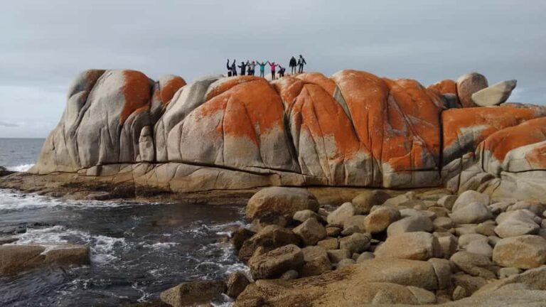 Tasmania: 7-Day West to East Tour - Overall Value and Experience