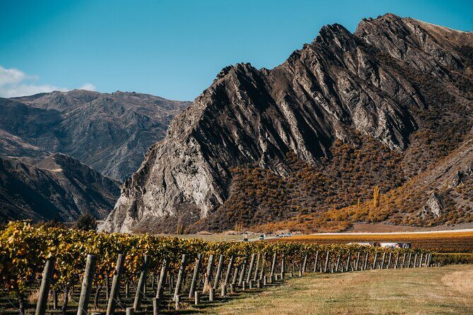 Taste of Gibbston private Wine Tour from Queenstown and return. - What Could Be Better?