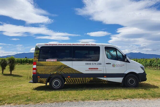 Taste the Valley Wine Tour in Marlborough with Wine Tasting - Authentic Experiences and Real-World Insights