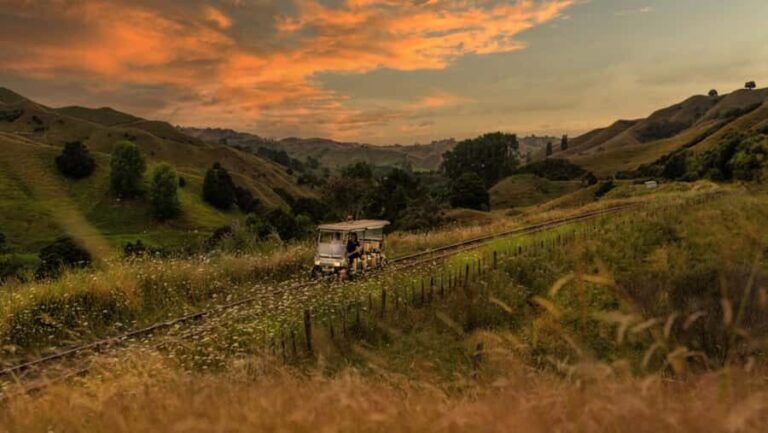 Taumarunui: Forgotten World Rail Cart Tour with Lunch - Pricing and Value