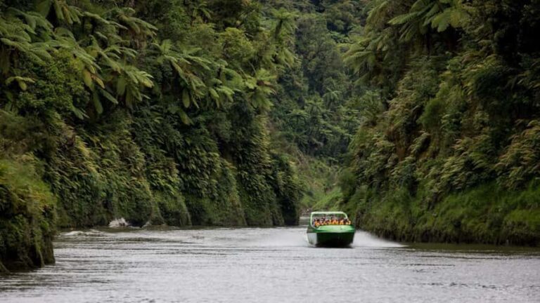 Taumarunui: Railcart and Jetboat Adventure with lunch - The Jet Boat Experience