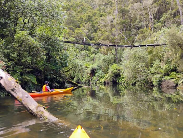 Taup: Hidden Lake Kayak Tour with Sunken Forest Views - What Makes This Tour Special?
