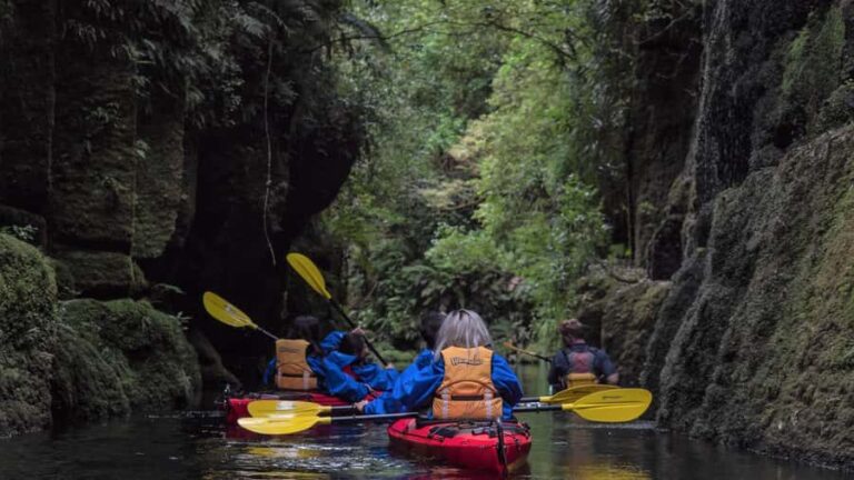 Tauranga: Daytime Scenic Lake McLaren Kayak Tour - What to Expect: Paddling and Exploring