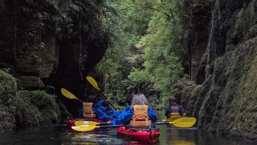 Tauranga: Daytime Scenic Lake McLaren Kayak Tour - What to Expect: Paddling and Exploring