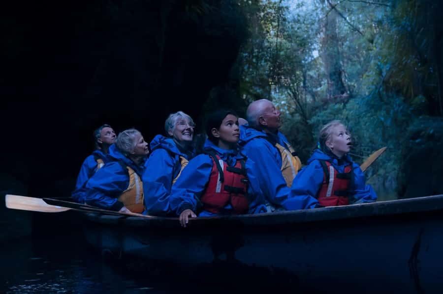 Tauranga: Evening Big Kanu Glowworm Tour - What to Expect During Your Tour