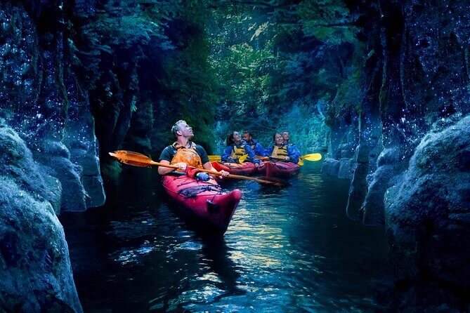 Tauranga: Evening Glowworm Kayak Tour - The Itinerary Breakdown: From Day to Night