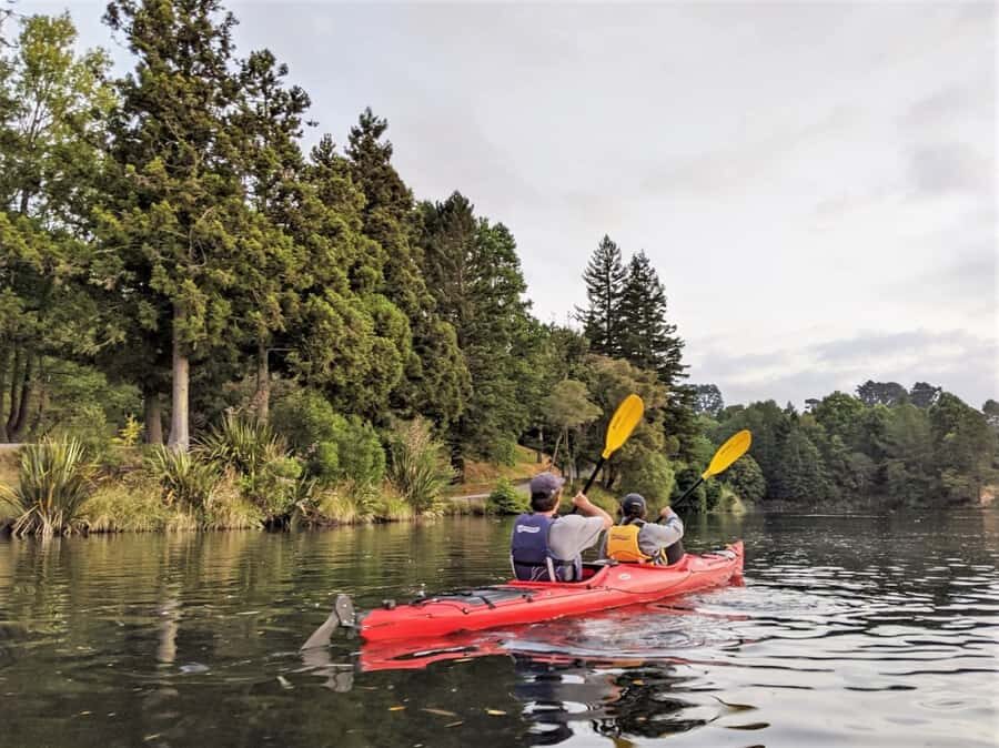 Tauranga: Evening Glowworm Kayak Tour - Value and Pricing