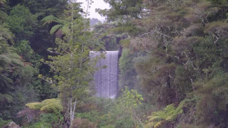 Tauranga: Kiwifruit Destination and Sights Shore Excursion - What Do Travelers Say?