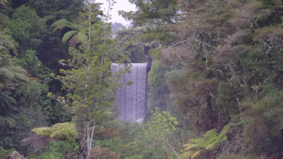 Tauranga: Kiwifruit Destination and Sights Shore Excursion - What Do Travelers Say?