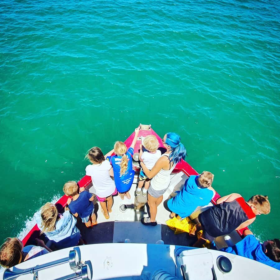 Tauranga: Mount Maunganui Harbour Sightseeing Cruise - Exploring Tauranga Harbour on a Characterful Vessel