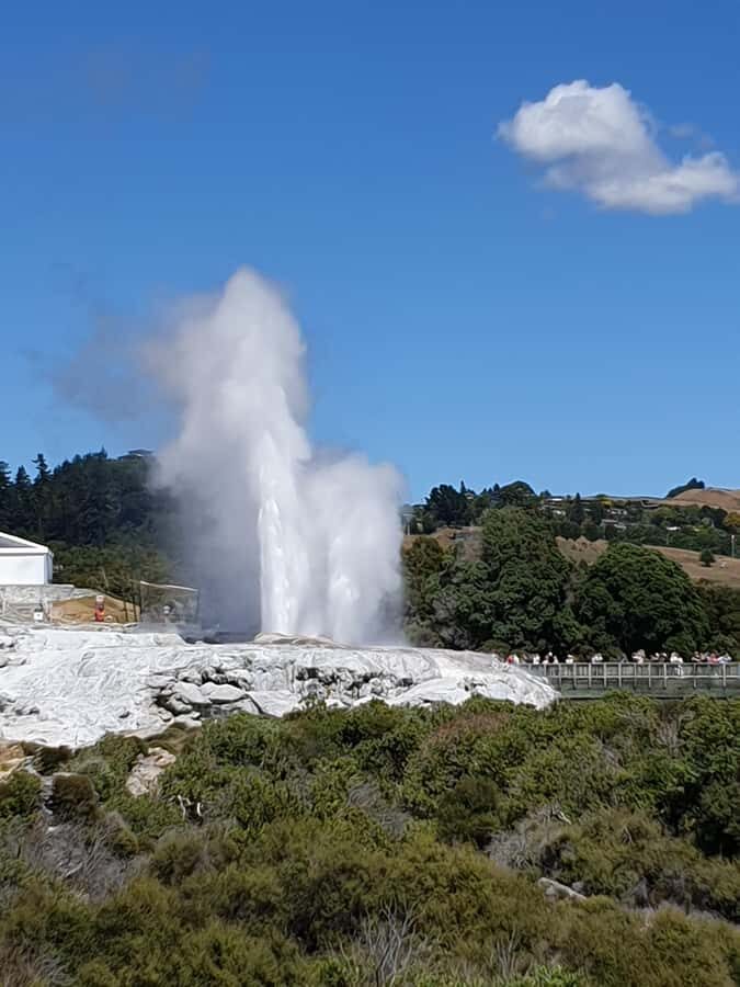 Tauranga: Rotorua Redwoods Tour & Maori Village Experience - Why This Tour Stands Out