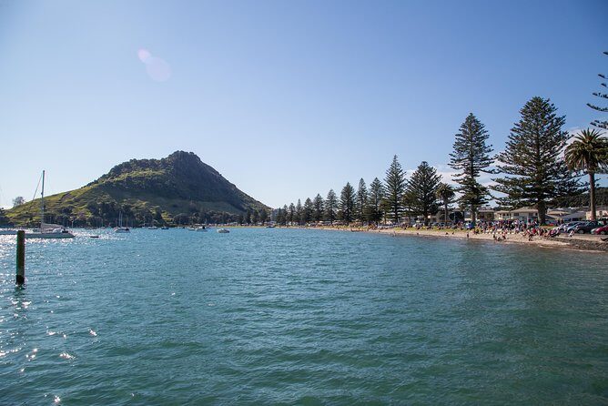 Tauranga Shore Excursion: History & Kiwifruit Tasting 4 Hours - The Itinerary Breakdown