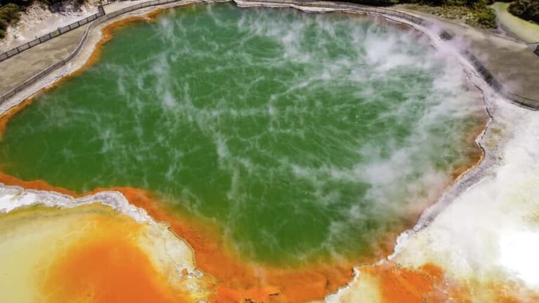 Tauranga: Wai-o-Tapu with Redwood Forest Walk or Forest Spa - Detailed Itinerary Breakdown