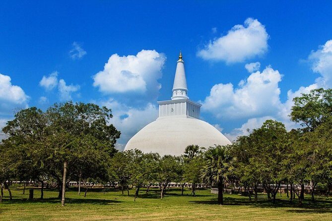 Taxi From Anuradhapura to Airport / Colombo (Private) - Detailed Breakdown of the Experience