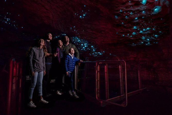 Te Anau Glow Worm Caves Tour - What Makes This Tour Stand Out?