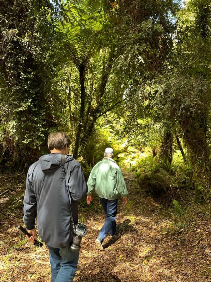 Te Anau: Kepler Heli Hike (unguided) - The Flight: Views That Make Your Jaw Drop