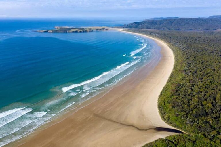 Te Anau to Dunedin via the Catlins & Invercargill 1 Way Tour - The Practical Side: What to Expect
