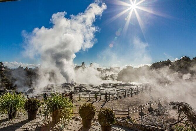 Te Puia Geothermal Valley - Rotorua - Is It Worth the Price?