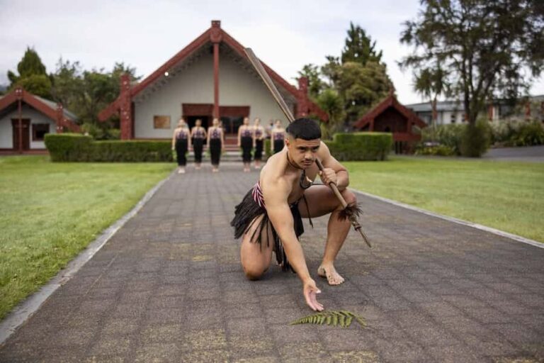 Te Puia: Te R Guided Day Tour + Haka Cultural Performance - What to Expect and How to Prepare