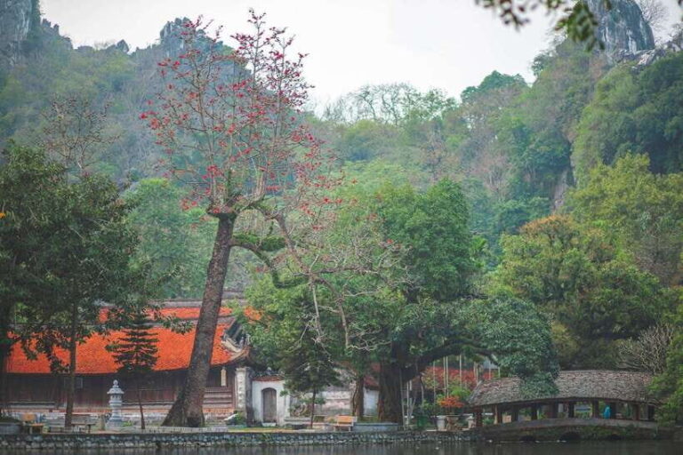 Thay Pagoda Duong Lam Ancient Village 1 Day Private trip. - Walking into Duong Lam: A Living Heritage