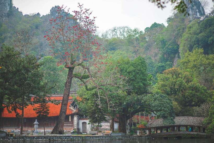 Thay Pagoda Duong Lam Ancient Village 1 Day Private trip. - Walking into Duong Lam: A Living Heritage