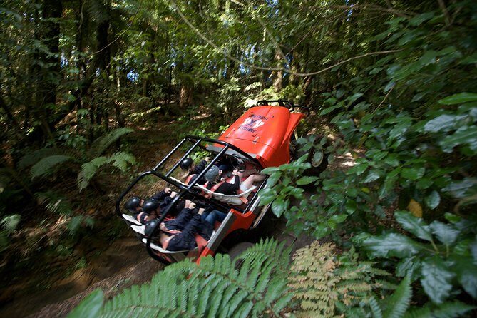 The Adrenaline Overdose at Off Road NZ - What to Expect During the Tour