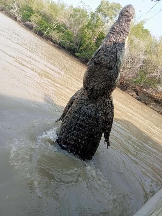 The best Litchfield Tour and the best Crocodile Cruise VIP - Why This Tour Offers Great Value