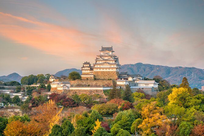 The Best of Himeji Walking Tour - Who Will Enjoy This Tour?