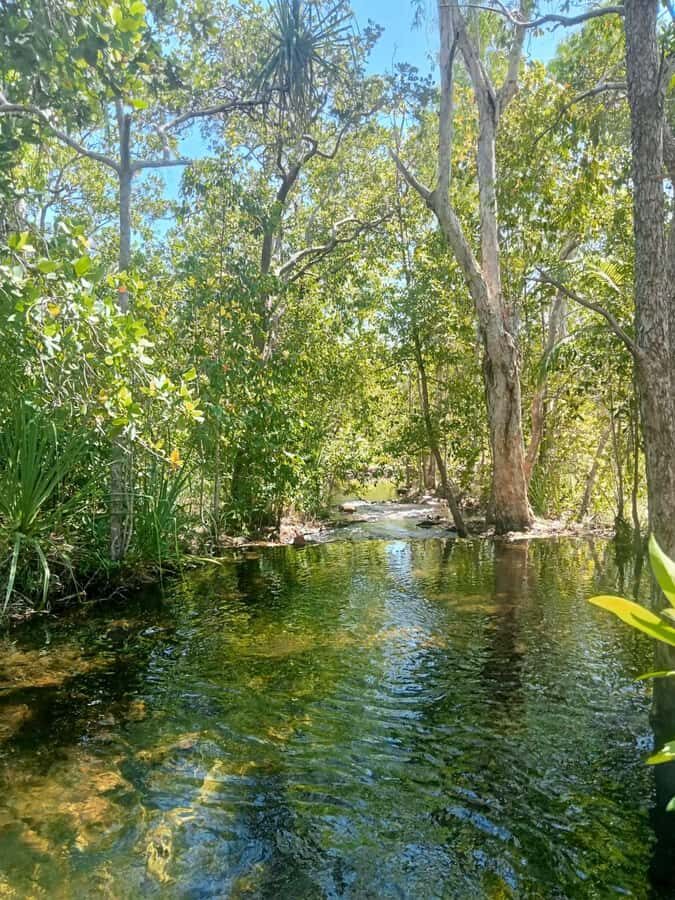 The best tour of Litchfield and crocodiles on the river - Analyzing the Value