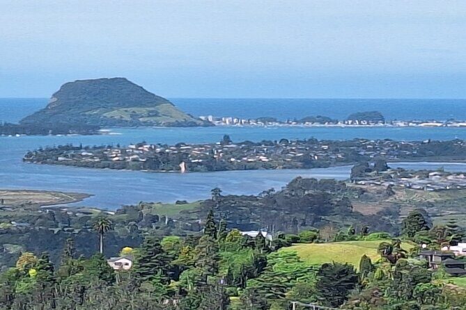 The Big Bay Tour with Te Puna Sculpture garden and Minden Views - Pricing and Value