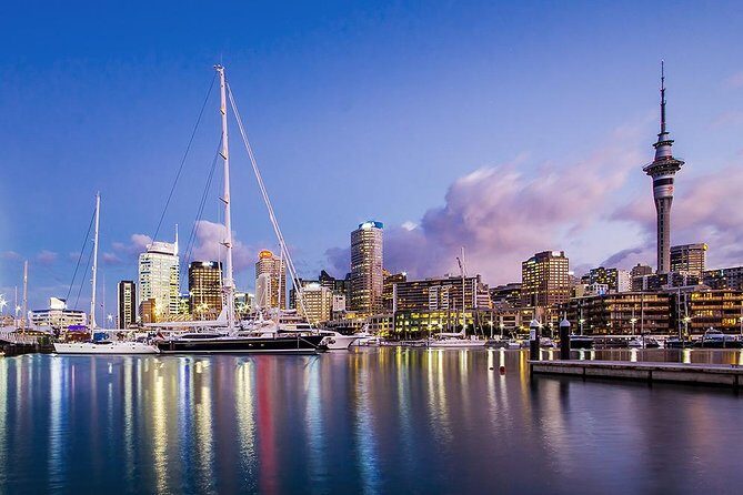 The City Lights: a unique electric bike tour of Auckland by night! - Who Will Love This Tour?