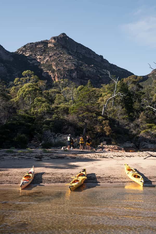 The Freycinet Paddle Kayak Tour - Detailed Breakdown of the Experience