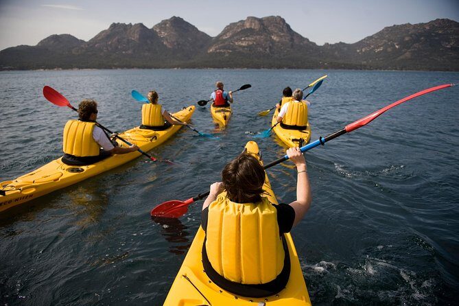 The Freycinet Paddle - What Makes It Stand Out?