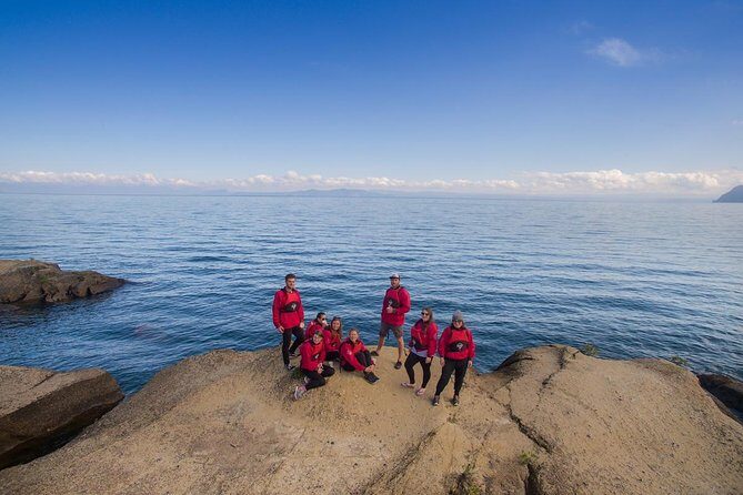 The Maori Carvings Half Day Kayak - In The Sum Up