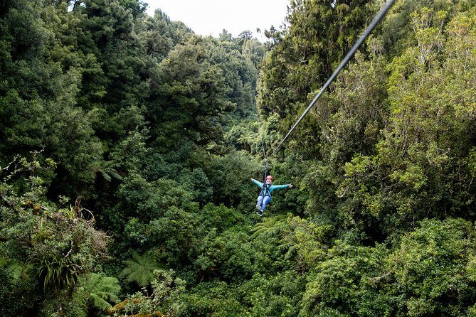 The Original Canopy Zipline Experience Private Tour From Auckland - The Itinerary: What You Can Expect
