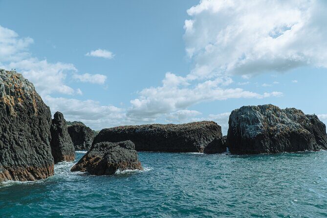 The Original Full day Bay of Islands Cruise with Dolphins - The Value of This Full-Day Tour