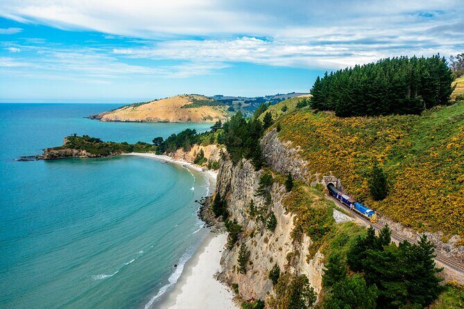 The Seasider - See Otagos Coastline From a New Perspective - The Scenic Journey: What You Can Expect