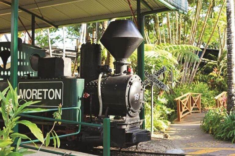 The Sunshine Coast: The Ginger Factory Play All Day - What Makes It Special