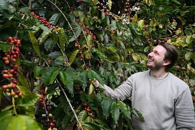 The Tastes of Tamborine Mountain - Value and Practicalities