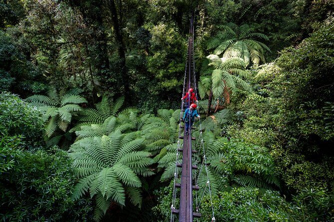 The Ultimate Canopy Zipline Experience Private Tour From Auckland - What Do the Reviews Say?