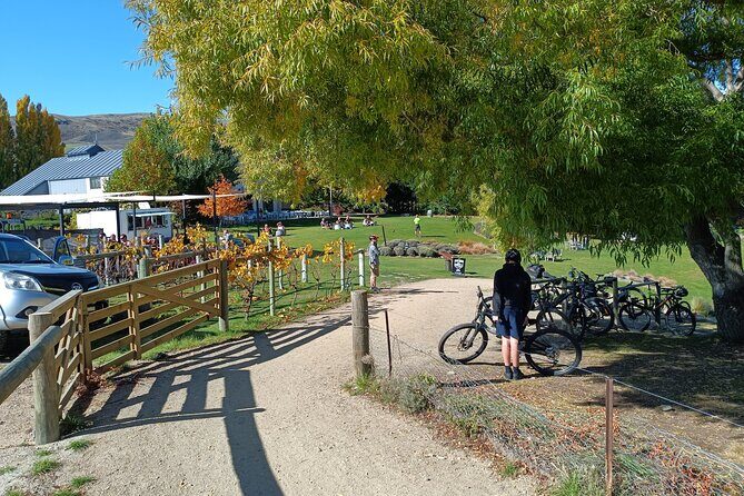 The Ultimate Lake Dunstan Bike Hire And Boat Experience - Practical Details