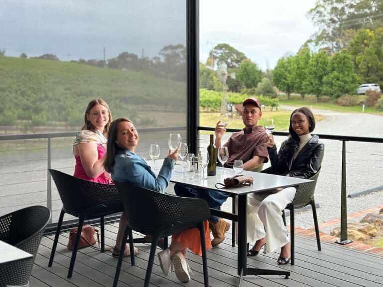 The Ultimate McLaren Vale Experience: Wine, Views & Luxury - Why This Tour Stands Out