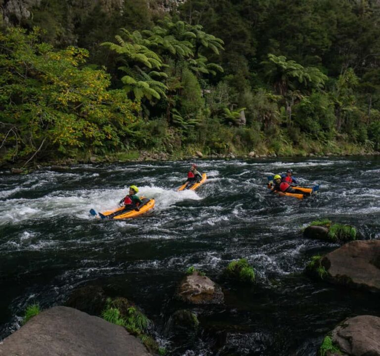 Thrilling Riverbug Adventure on the Rangitiki River - What You Can Expect from the Trip